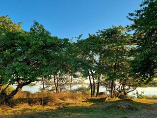Casa per le vacanze Falkvik  22