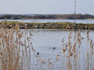 Maison de vacances Falkvik  26