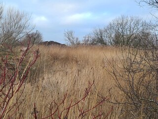 Ferienhaus Assens  14