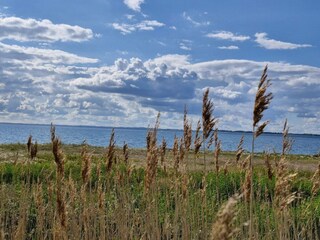 Vakantiehuis Assens  15