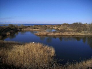 Casa de vacaciones Assens  16