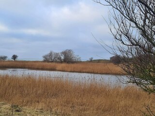 Casa per le vacanze Assens  17