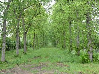 Vakantiehuis Marche-en-Famenne Buitenaudio-opname 5