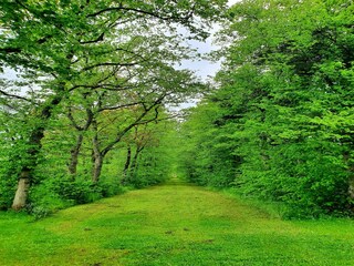 Casa per le vacanze Marche-en-Famenne Registrazione all'aperto 11