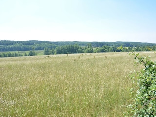 Ferienhaus Marche-en-Famenne Außenaufnahme 11