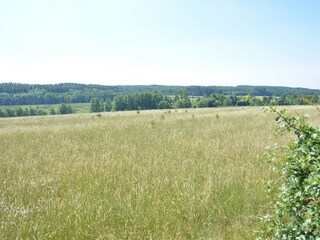 Ferienhaus Marche-en-Famenne Außenaufnahme 12