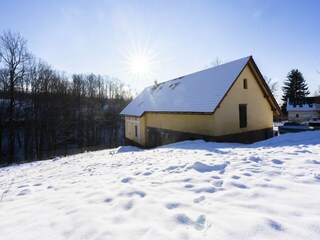 Villa Rudnik  52