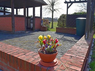 Appartement Alt Bukow Buitenaudio-opname 8