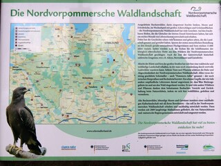 Appartement Negast  41