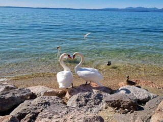 Casa per le vacanze Lazise Ambiente 29