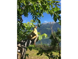 Vakantiehuis Kastelbell-Tschars Buitenaudio-opname 6