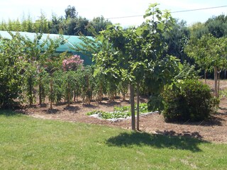 Casa per le vacanze Hyères Registrazione all'aperto 6