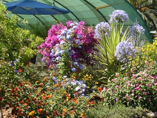 Casa per le vacanze Hyères Registrazione all'aperto 5