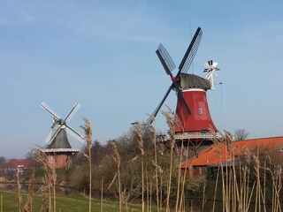 Appartamento per vacanze Greetsiel Ambiente 40