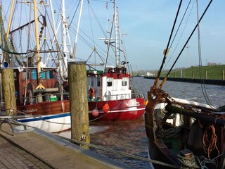 Appartamento per vacanze Greetsiel Ambiente 43