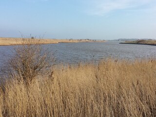 Appartamento per vacanze Greetsiel Ambiente 47