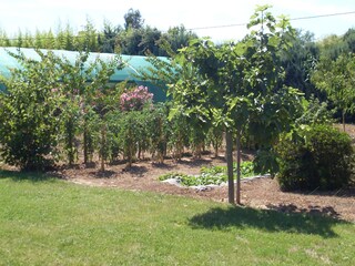 Casa per le vacanze Hyères Registrazione all'aperto 5