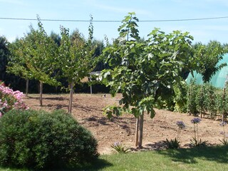 Casa per le vacanze Hyères Registrazione all'aperto 6
