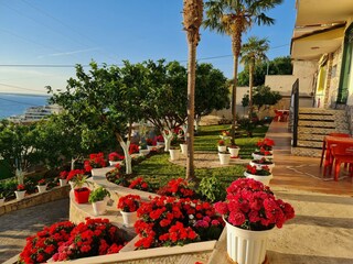 Villa Vlora Environment 17