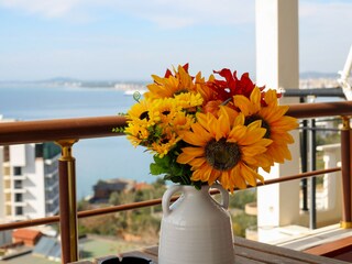 Apartment Vlora  15