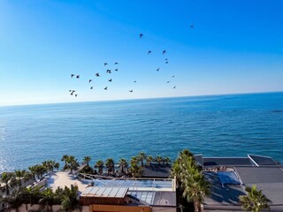 Apartment Durres Outdoor Recording 3