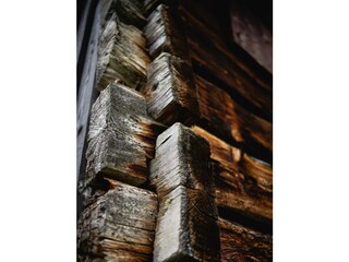 Holz by Florian Lustig (Purefilms)