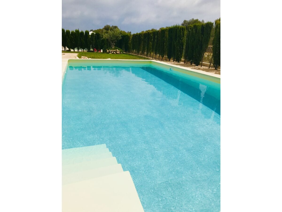 Pool 8x4m