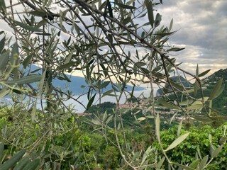 Ferienwohnung Vesio Umgebung 29