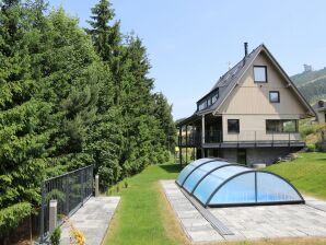 Villa in Dolni Morava mit Sauna - Kraliky - image1