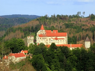 Villa Nedvedice Außenaufnahme 7