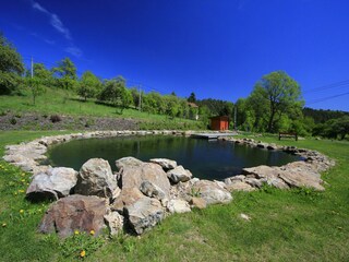 Villa Nedvedice Außenaufnahme 8