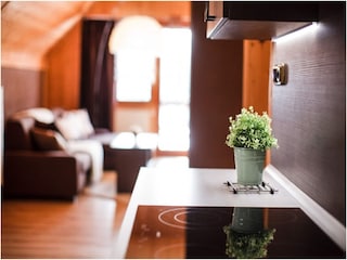 Villa Staré Hamry Ausstattung 10