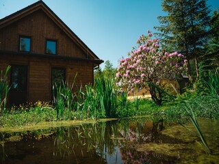 Villa Bělá pod Pradědem  40