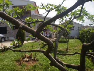 Casa per le vacanze Porec Ambiente 30