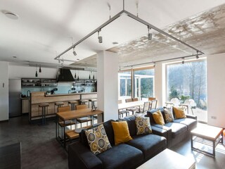 Villa Dolni Moravice Features 7