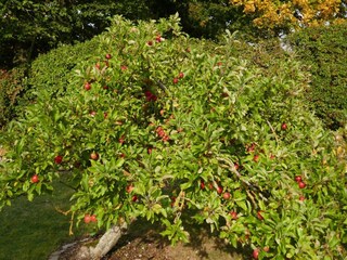Maison de vacances Kopendorf Enregistrement extérieur 2