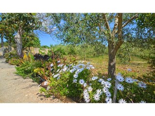 Holiday house Búger Outdoor Recording 9
