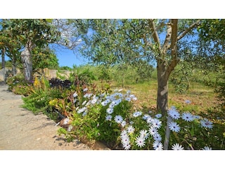 Maison de vacances Búger Enregistrement extérieur 3