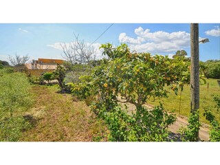 Vakantiehuis Búger Omgeving 28