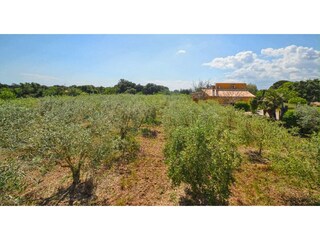 Casa per le vacanze Búger Ambiente 29