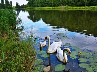 Vakantiehuis Podkozi Omgeving 25