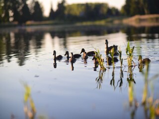 Villa Kasanice Ambiente 23