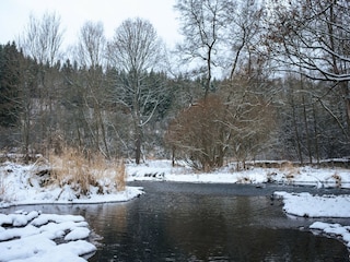 Villa Žihle Environment 31