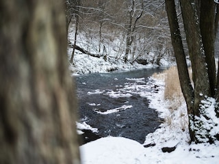 Villa Žihle Environment 34