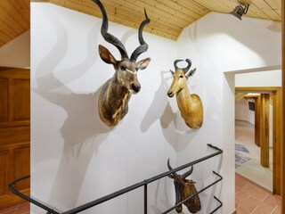 Villa Oslov Características 14