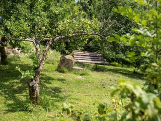 Villa Janův Důl Buitenaudio-opname 3