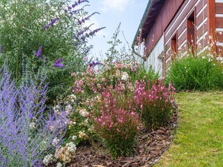 Villa Nové Město pod Smrkem Enregistrement extérieur 5