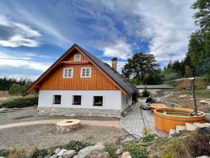 Villa in Böhmen mit Terrasse - Lučany nad Nisou - image1