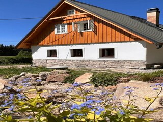 Villa Lučany nad Nisou Buitenaudio-opname 3
