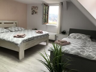 Villa Zlatá Olešnice  49